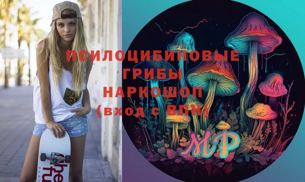индика Алексин