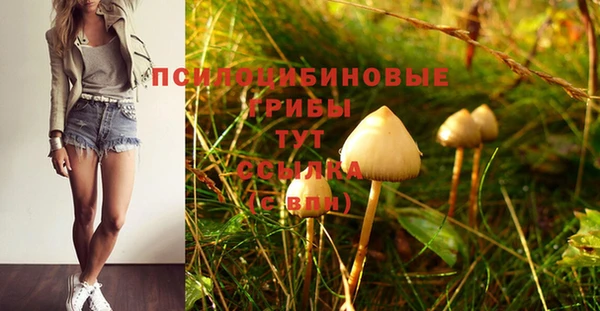 СК Абдулино