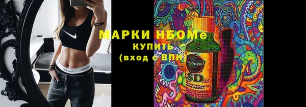 индика Алексин