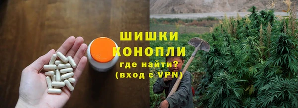тгк Пестово