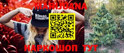 Альфа ПВП Гатчина