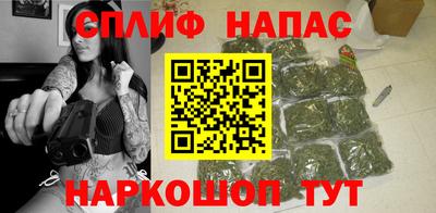 Альфа ПВП Гатчина
