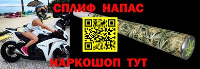 Альфа ПВП Гатчина
