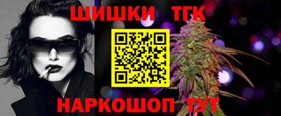 Альфа ПВП Гатчина