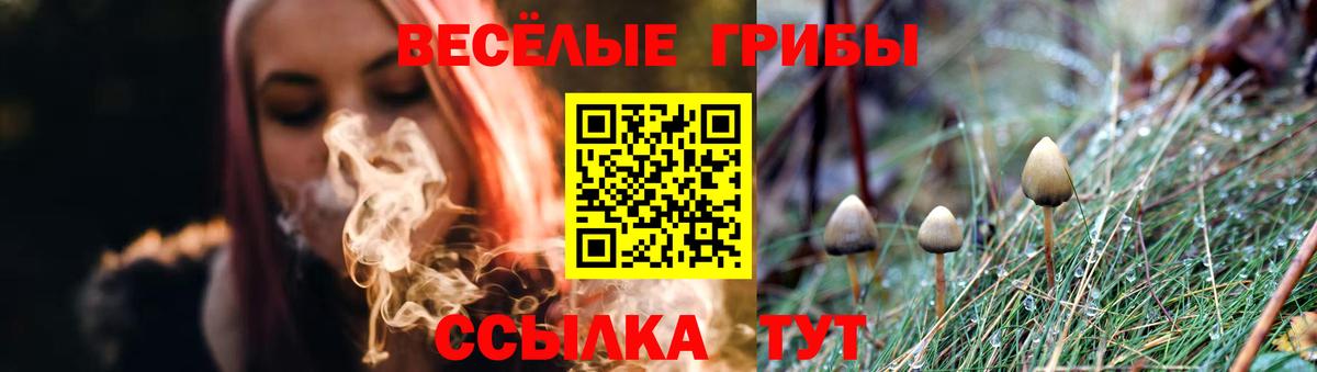 Галлюциногенные грибы GOLDEN TEACHER Казань