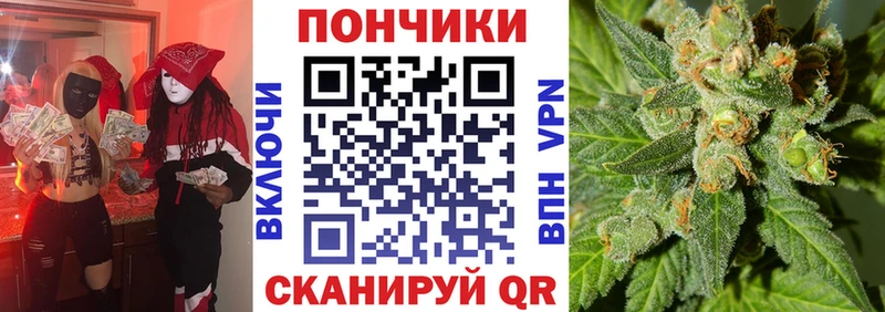 omg как зайти  Казань  Бошки марихуана SATIVA & INDICA 